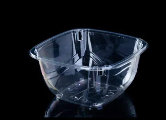 Transparent Disposable Blister Tomato Tray