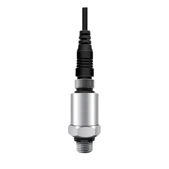 Reliable G1 2 Hygienic Pressure Transmitter with 4-20mA Output for Industrial Pressure Monitoring