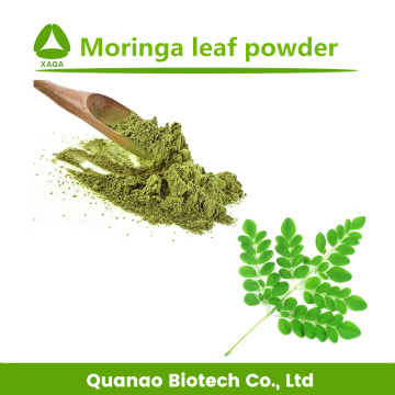 Moringa Oleifera leaf Extract Powder For Health Care