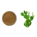 Natural Cactus Extract powder