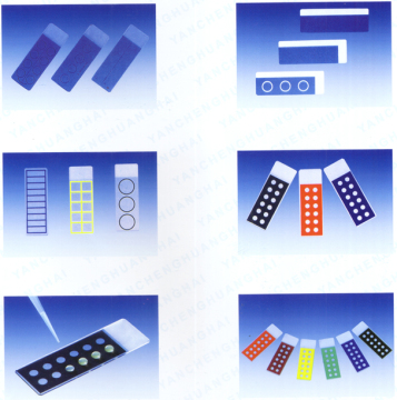Colorful Frosted Microscope Slides