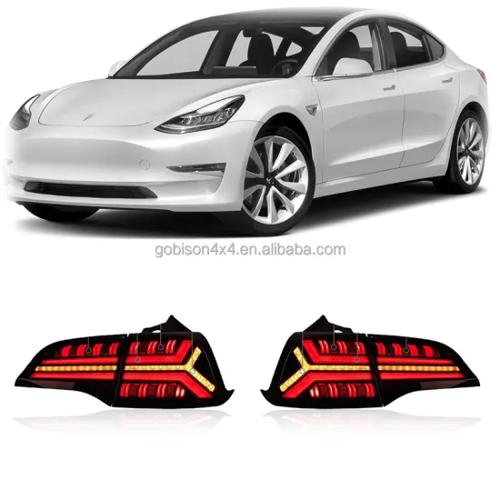 Gobison Dynamic Full Taillamp LED Tail Lights for Tesla Model 3 (2019-2021)