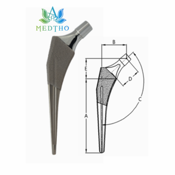 tronco femoral