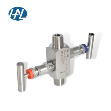 High Pressure Stainless Steel 2-Valve Manifold NPT Male Block and Bleed Manifold
