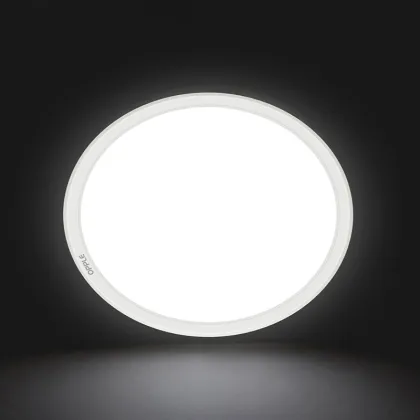 Xiaomi Mijia Yeelight Smart LED Ceiling Light Mini Induction Lamp Wireless Control Kitchen Bathroom Balcony Aisle
