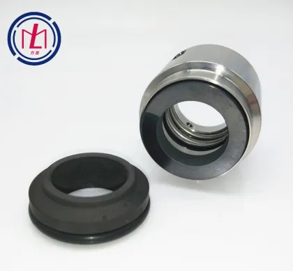 Mechanical Seals for Lowara Pumps: 22mm Size