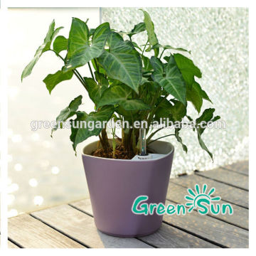 2016 Hot sales Colorful plastic flower pots