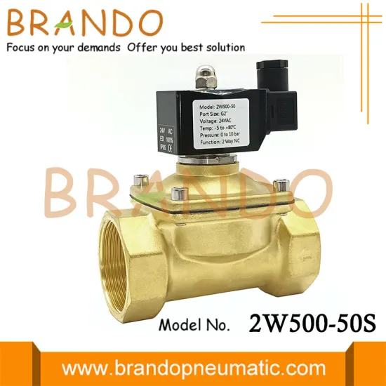 2W500-50 2'' Water Solenoid Valve 24VDC 110VAC 220VAC