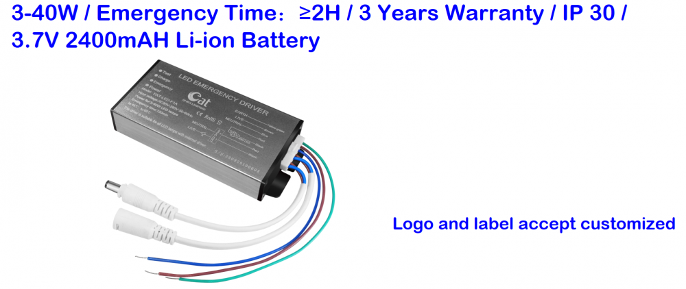 High Quality 2H Emergency Time Emergency Driver