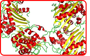 Mycotoxin binder