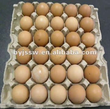 egg packaging tray