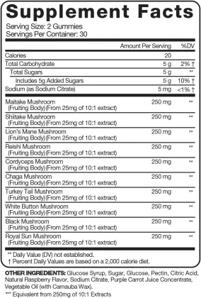 10 Mushroom Gummies Energy Immune Defense Brain Focus