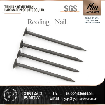 hot dip china clout doors nails good sale all over the world