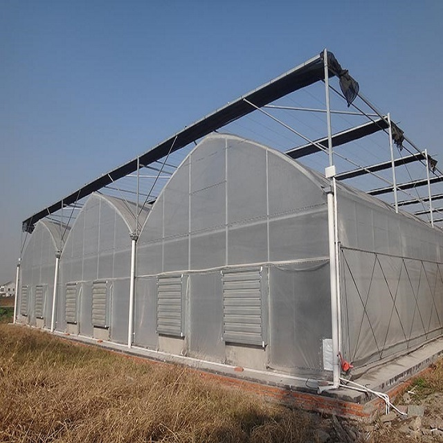 Multi Span Film Covering Greenhouse for Vegetables