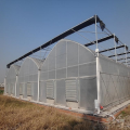 Skyplant Smart Modern Agricultural Film Greenhouse