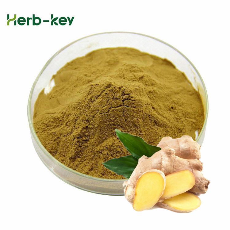 Water soluble Ginger extract gingerol 1% 2% 5%