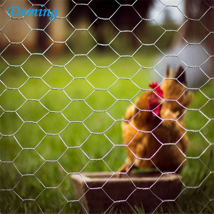 galvanized wire mesh chicken coop poultry fencing