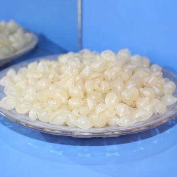 Famous Brand Excellent Quality Shell Shaped Rice Pasta