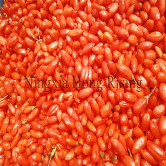 New promotion goji berries wolfberry