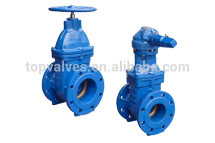 soft seal gate valve