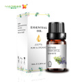 private label lavender essential oil for massage skincare