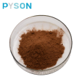 Extrait de Chaga Polysaccharides 50% UV