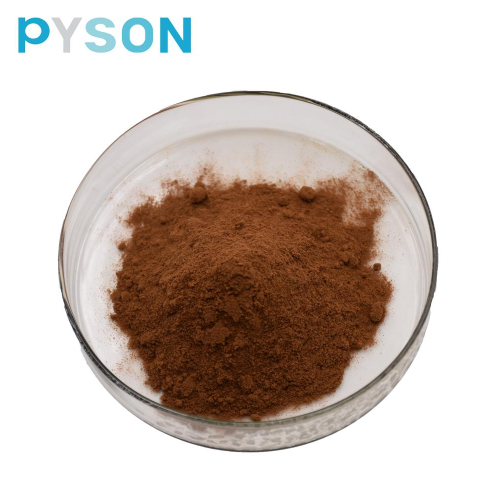 Extrait de Chaga Polysaccharides 50% UV