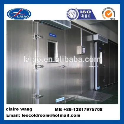 small deep freezer poultry freezer
