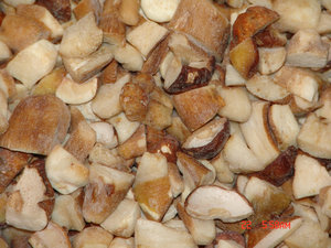 wild mushroom