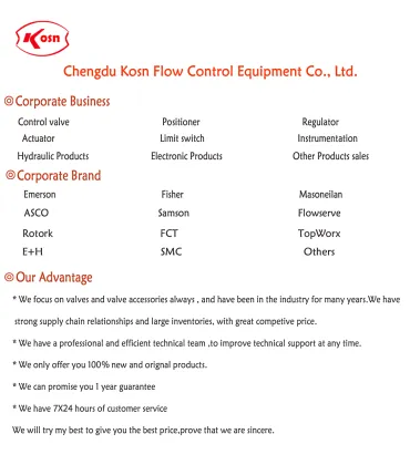 Original Rotork YT-1000LSN332S00 Smart Control Valve with 4-20mA Electric Pneumatic Positioner: YT-1000, YT-3300