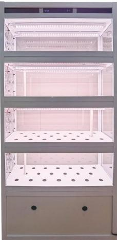 زارع الخضروات من نوع الخزانة العمودية YD08GBC-B03-TK