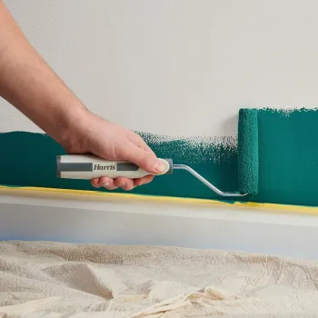 OEM 4 inch Microfiber Paint Roller