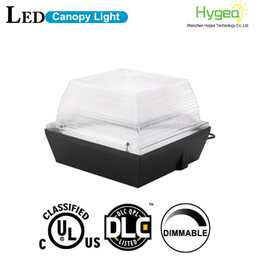 High Performance DLC 40W LED Canopy Light