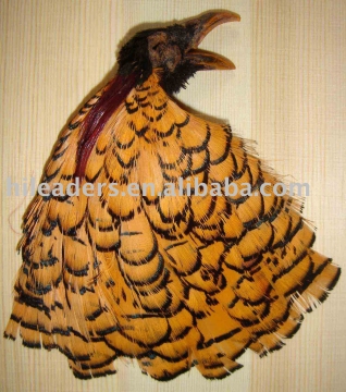 Lady Amherst Crown