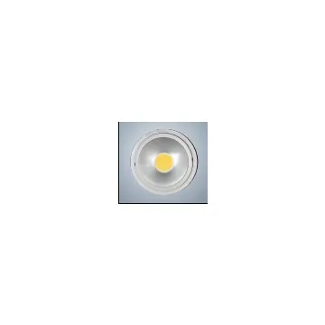 LED down light 45W/4500lm 3000K