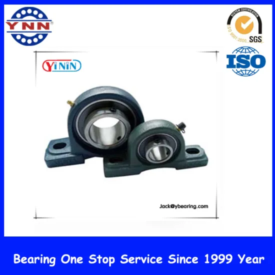 Best Price and Stable Performance Pillow Block Bearings (UCP 202)