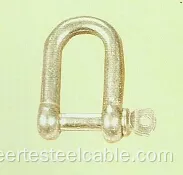 Commercial Galvanized Shackle with Good Quality