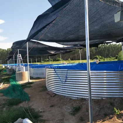 RAS Aquaculture Systems for Tilapia, Catfish, and Shrimp