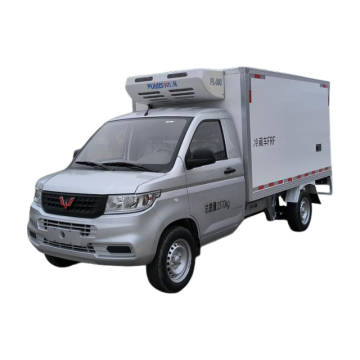Wuling Zhiyue Rongguang Neuer LKW-Kühlwagen (9,8 m³)