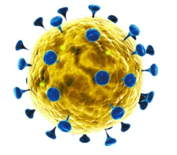 SSS Nonwoven Machine for Mask