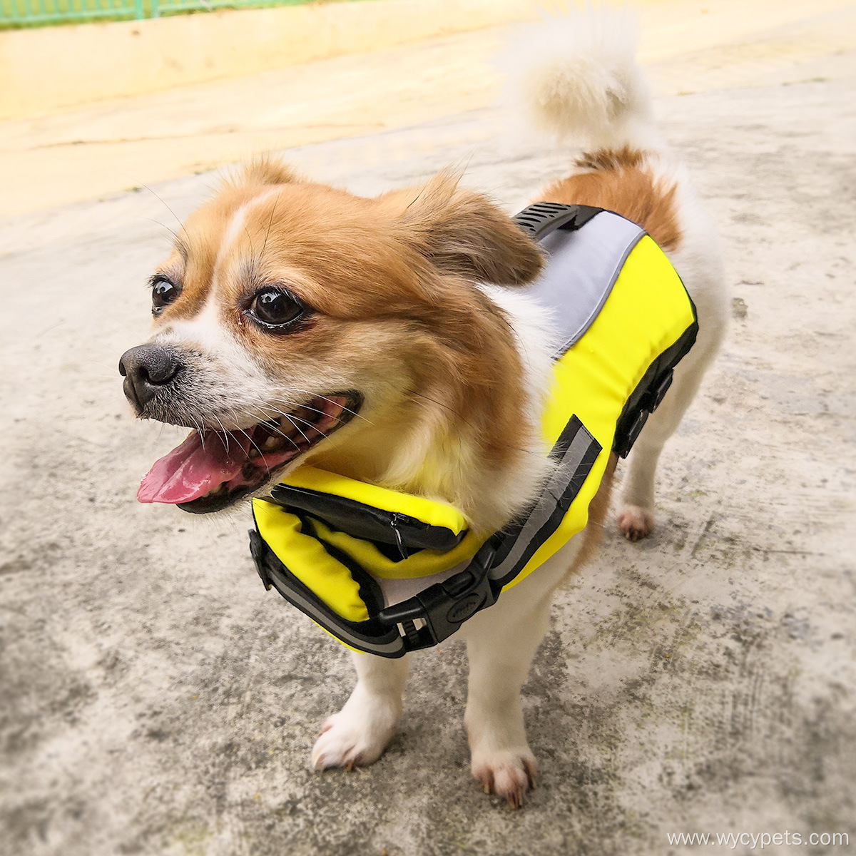 Airbag Inflatable Folding Dog Safety Swimming Suit