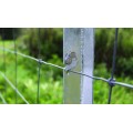 Continued supply twin wire fencing