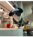 Κατοικίδιο ζώο σαμουράι ρούχα cat corgi σκύλου