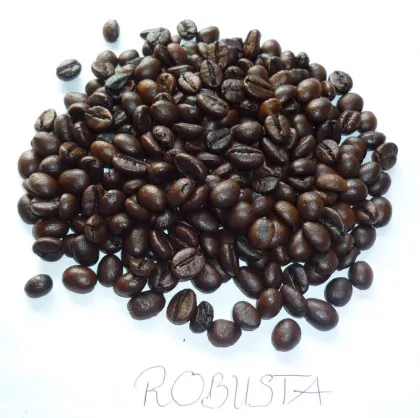 Roasted Robusta Coffee bean