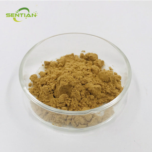 Okra Extract Rich in Nutritional Compounds