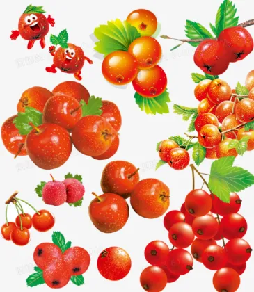 Hawthorn Extract hawthorn powder 10:1