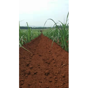 Машина культивирования почвы сахарного тростника сельскохозяйственное
