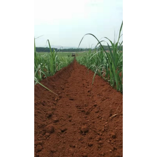 Sugarcane soil cultivation machine agricultural