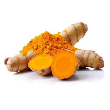 Organic Turmeric Powder Bulk