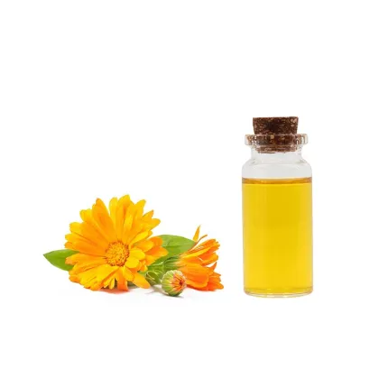 Bulk Wholesale 100% Pure Calendula Oil